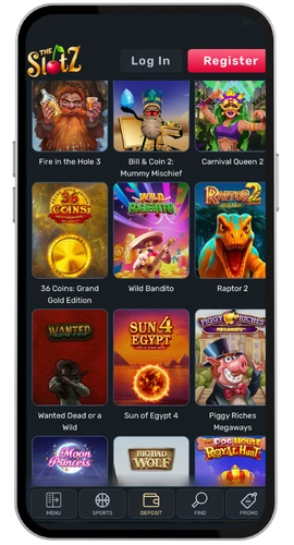 TheSlotz Casino application